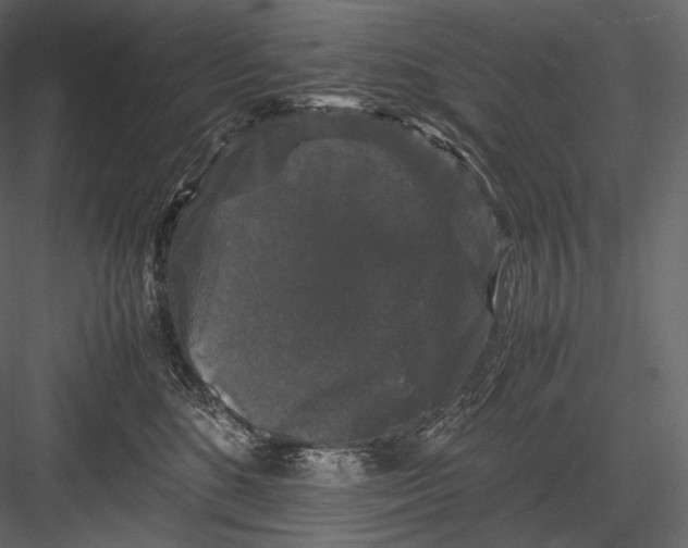 X0000082970520200702230010