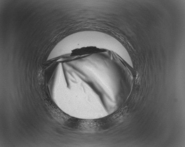 X0000082970521200702230010