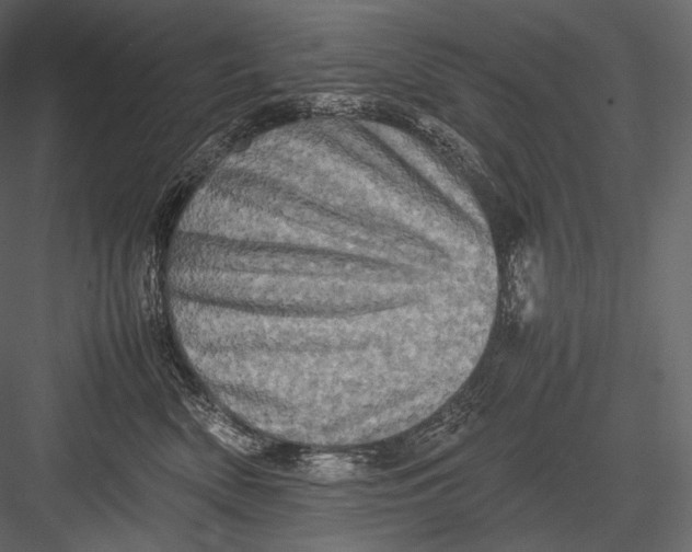 X0000082970522200702230010