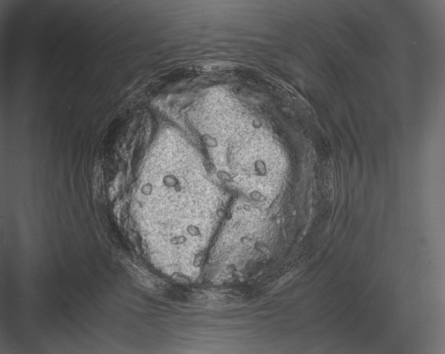 X0000082970523200702230010