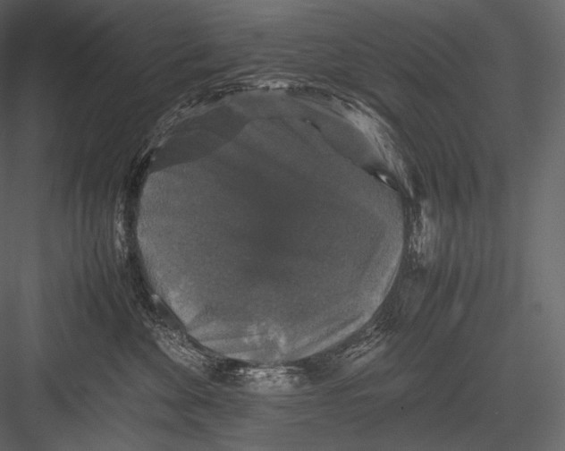 X0000082970524200702230010