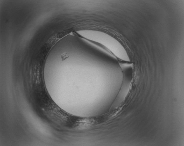 X0000082970525200702230010