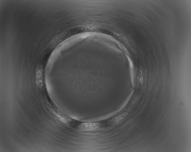 X0000082970526200702230010