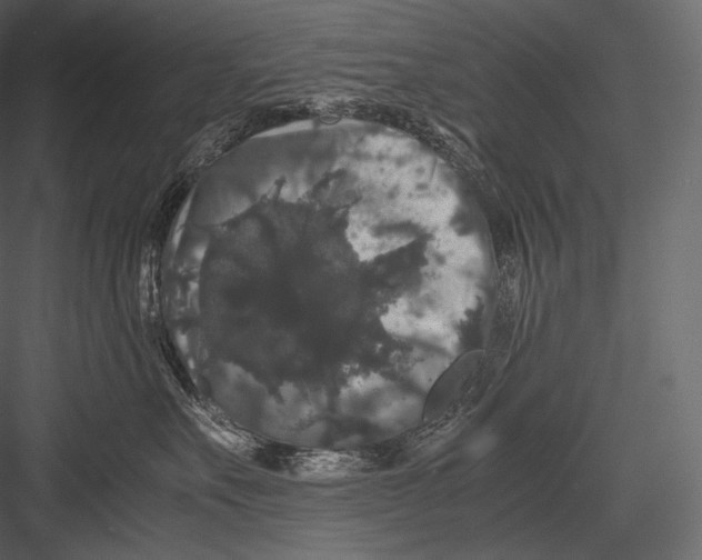 X0000082970527200702230010