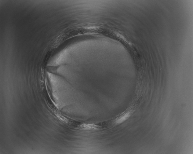 X0000082970528200702230010