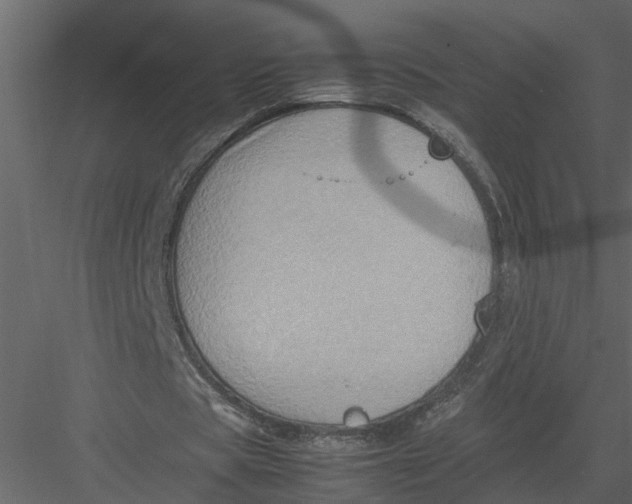 X0000082970529200702230009