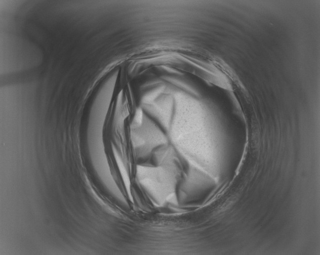 X0000082970530200702230009