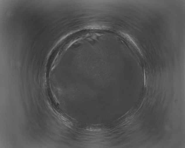 X0000082970531200702230009