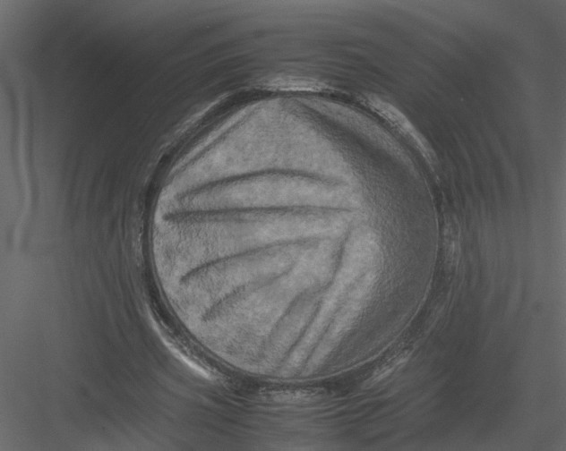 X0000082970533200702230009