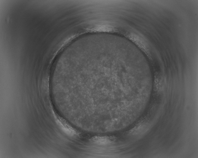 X0000082970534200702230009