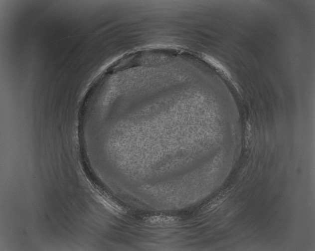 X0000082970535200702230009