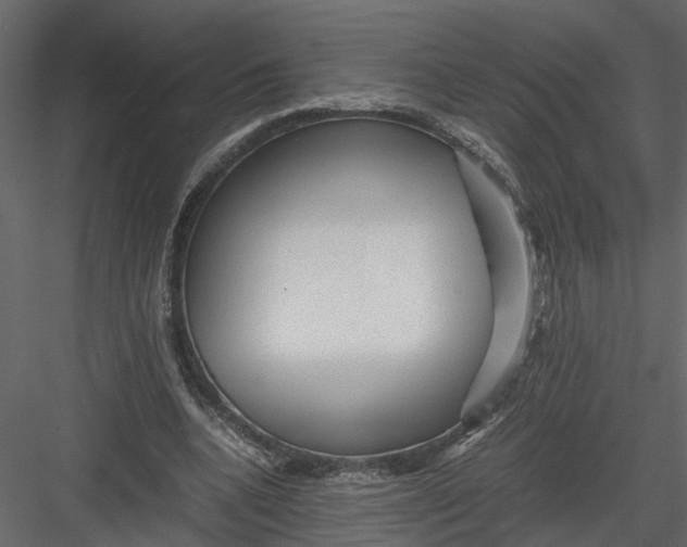 X0000082970536200702230009