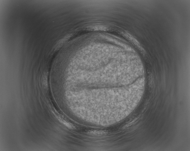 X0000082970537200702230009