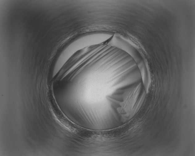 X0000082970538200702230009