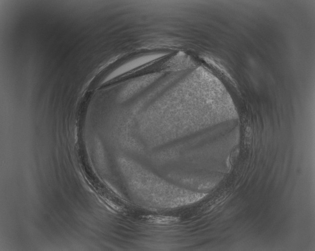 X0000082970539200702230009