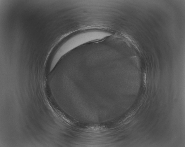 X0000082970540200702230009