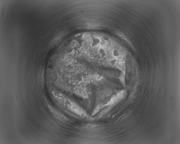 X0000082970542200702230009