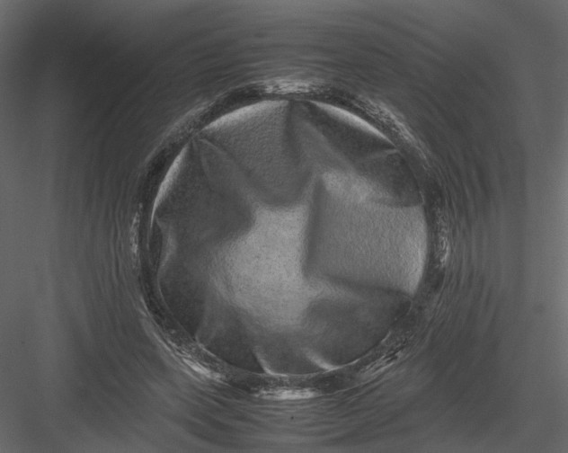 X0000082970543200702230009