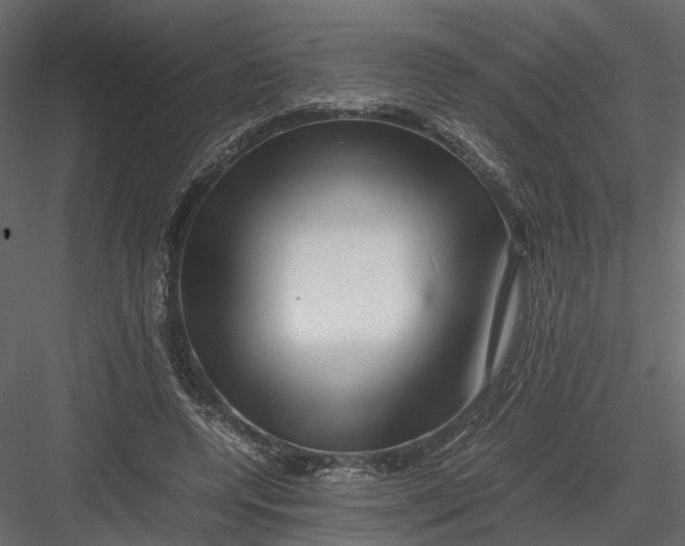 X0000082970544200702230009