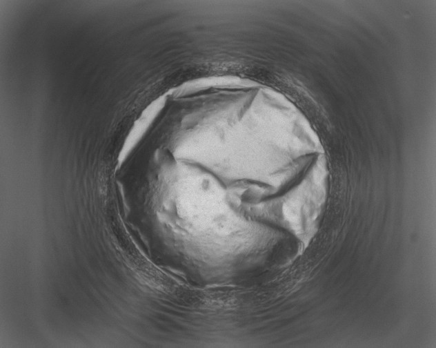 X0000082970545200702230009