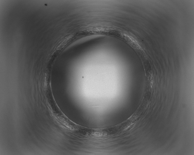 X0000082970546200702230009