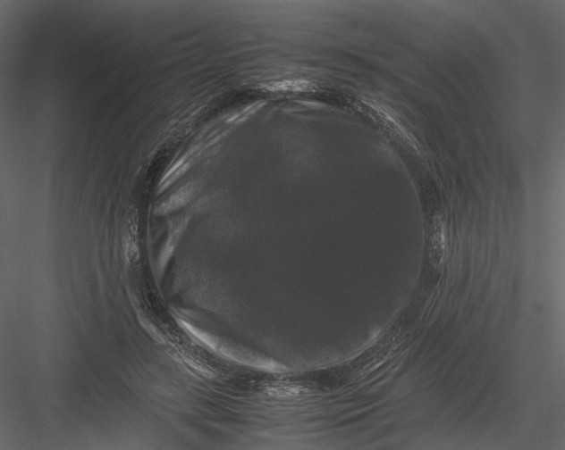 X0000082970547200702230009