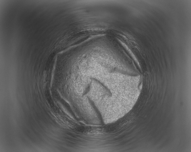 X0000082970550200702230010