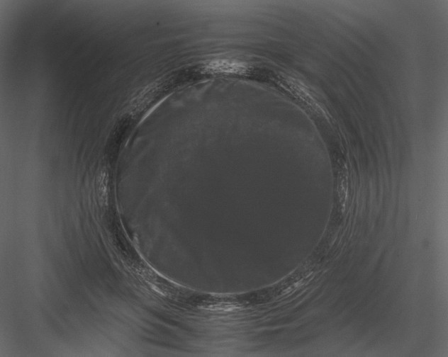 X0000082970551200702230010