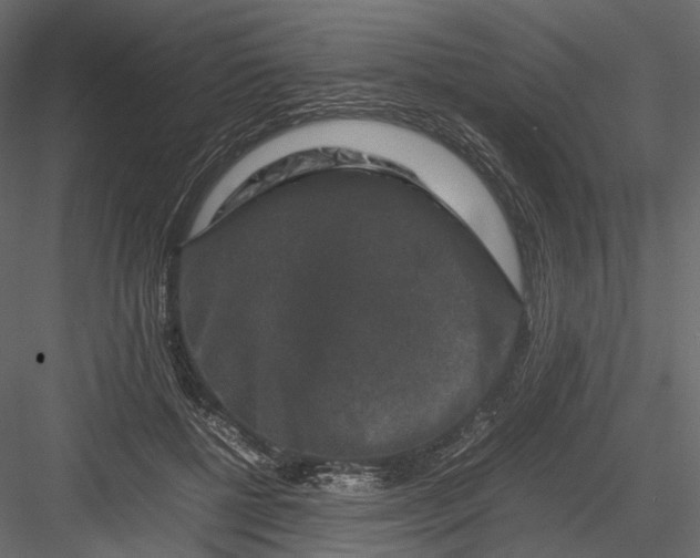 X0000082970552200702230010