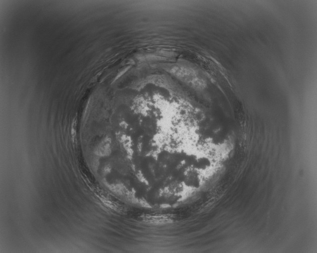 X0000082970553200702230010