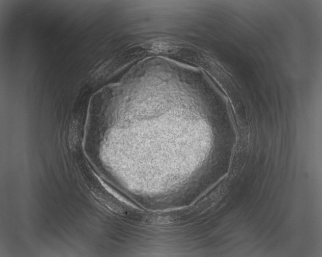 X0000082970554200702230010