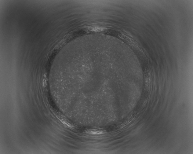 X0000082970555200702230010