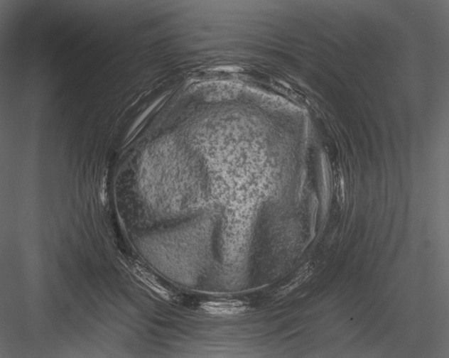 X0000082970556200702230010