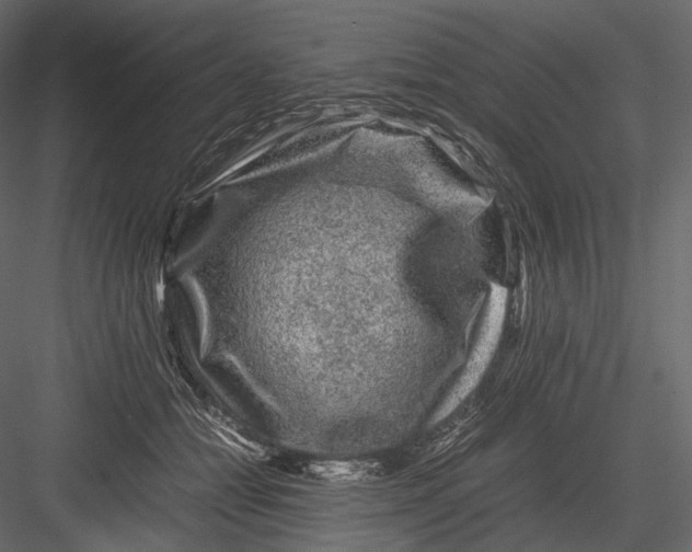 X0000082970558200702230010