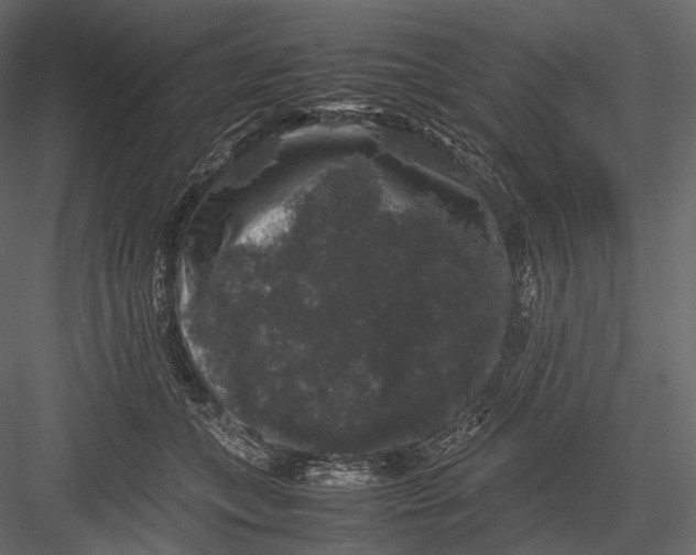 X0000082970559200702230010