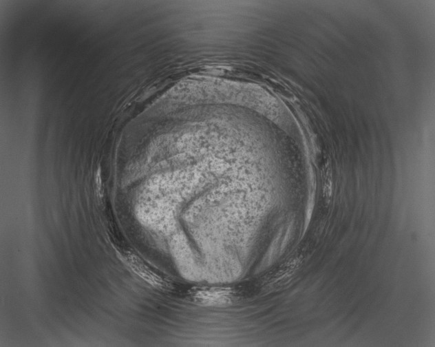 X0000082970560200702230010