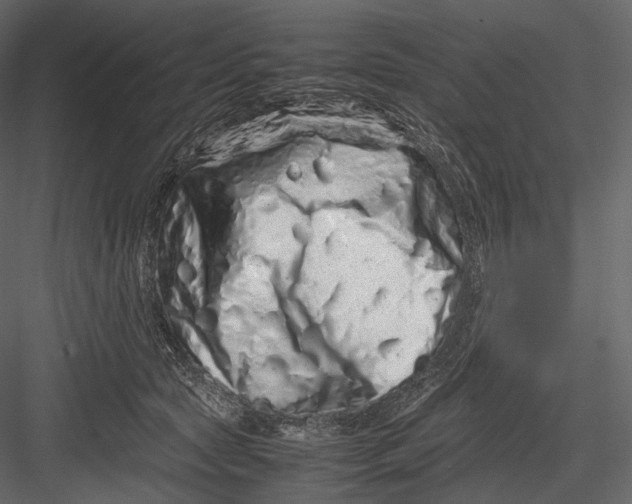 X0000082970561200702230010