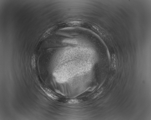 X0000082970562200702230010