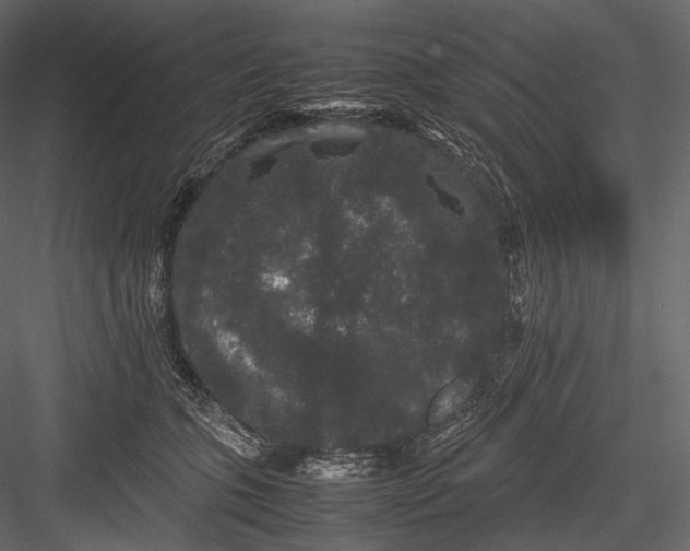 X0000082970563200702230010