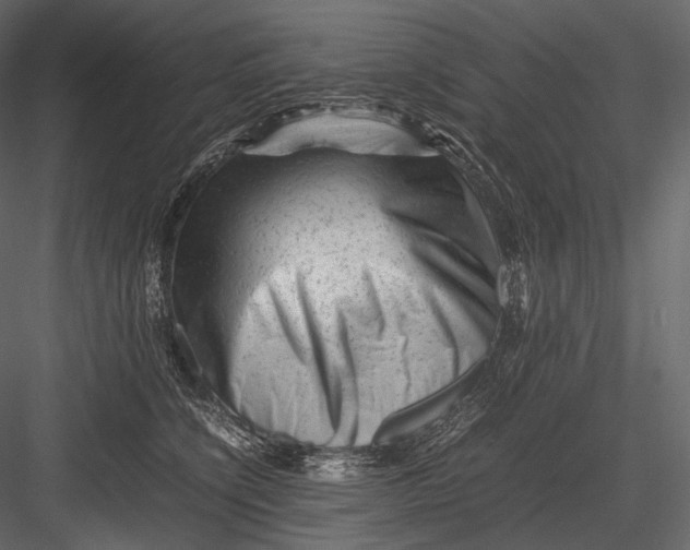 X0000082970564200702230010