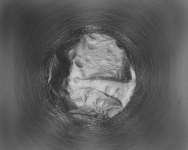 X0000082970565200702230010