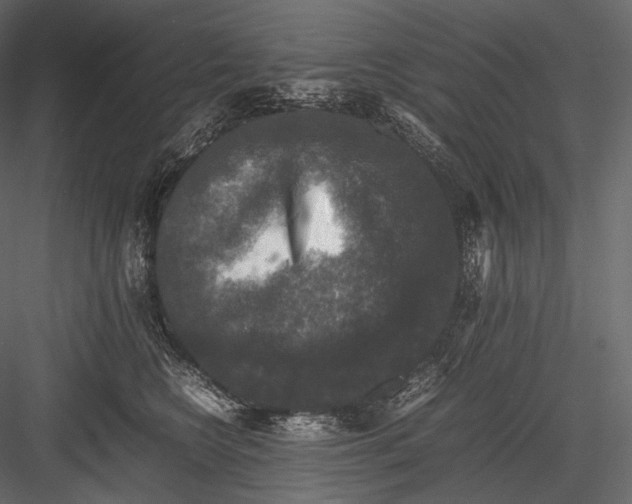 X0000082970566200702230010