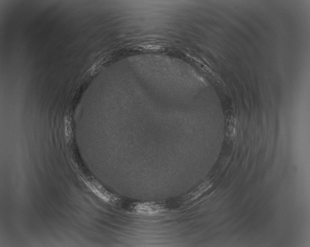 X0000082970568200702230010