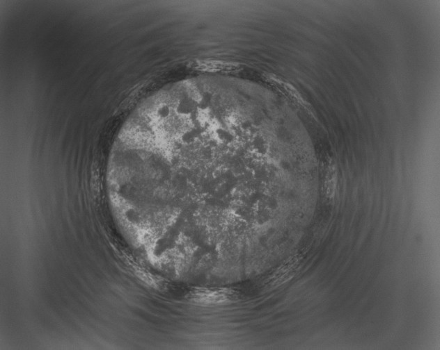 X0000082970569200702230010