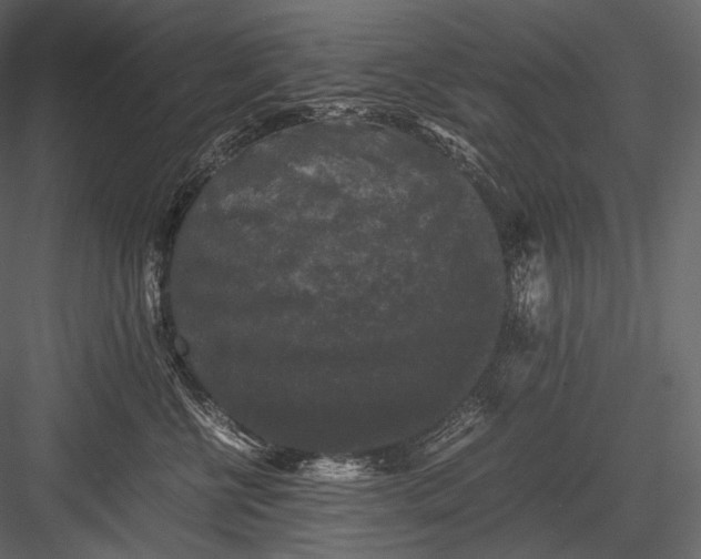 X0000082970570200702230010