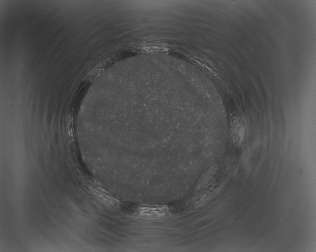 X0000082970571200702230010