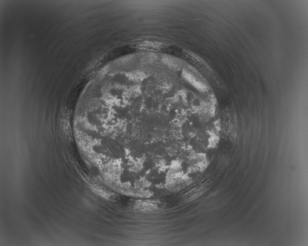 X0000082970573200702230010