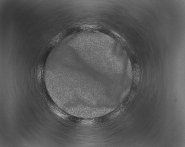 X0000082970574200702230010