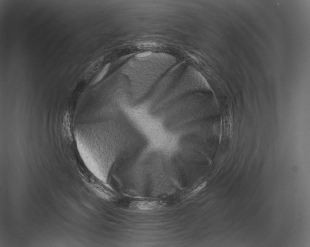 X0000082970575200702230010