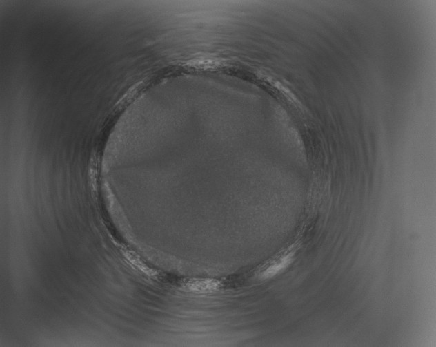 X0000082970576200702230010